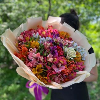 Альстромерія – букет із 25 гілок різнокольорових квітів у світлій упаковці з пурпуровою стрічкою