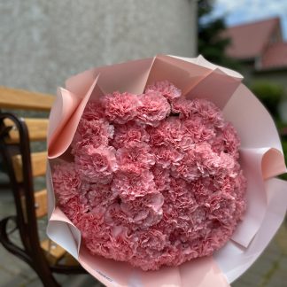 Ніжно-рожеві діантуси – букет із 51 квітки в ніжно-рожевих тонах у рожевій обгортці
