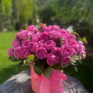 Рожевий бокс – букет у рожевій коробці з 29 троянд Місті Баблз та 2 гілками евкаліпта з рожевою стрічкою