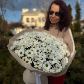 Хризантема ромашка – букет із 25 гілок білих квітів у світлій упаковці, тримається на тлі природи