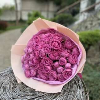 Яскрава 21 піоновидна троянда Місті Баблз, висотою 50-60 см, в оформленні та з доставкою по Україні.