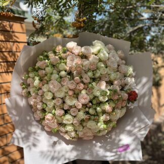 Розкішний букет із 51 піоновидної троянди – ідеальний подарунок для особливих подій! Пишні пелюстки в ніжних відтінках (рожевий, кремовий) та висота 50–60 см створюють елегантний вигляд. Професійне оформлення підкреслює свіжість квітів. Доставка по всій Україні – від Києва до Одеси. Піоновидні троянди символізують любов і ніжність, наповнюючи свято ароматом. Замовте зараз і створіть незабутні емоції! Дивіться також наші весільні букети для натхнення.