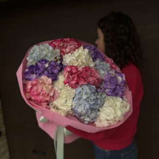 Різнокольорові гортензії – букет із 13 гортензій у різних відтінках у рожевій упаковці з стрічкою