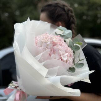 Рожева гортензія з евкаліптом – букет із 1 рожевої гортензії та 1 гілки евкаліпта в білій обгортці з рожевою стрічкою