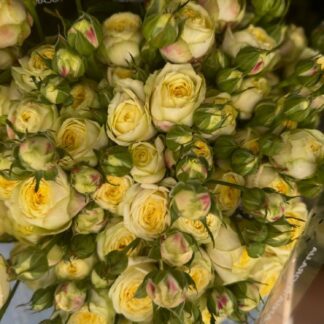 Троянда Лемон Трендсетер – яскрава лимонно-жовта троянда для створення стильних букетів чи декору. Доступна в розмірі 70 см (135 грн/гілка).