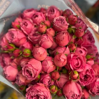 Троянда Місті Баблз – ніжна троянда з пастельно-рожевими пелюстками для створення вишуканих букетів чи декору. Доступна в розмірах: 45 см (73 грн/гілка), 50 см (79 грн/гілка) та 55 см (93 грн/гілка).