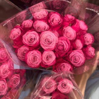 Троянда Принц Персії – ніжна рожева троянда для створення елегантних букетів чи декору. Доступна в розмірі 50 см (33 грн/шт).