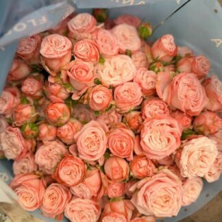 Троянда Мадам Бомбастік – розкішна троянда насичено-рожевого відтінку для створення елегантних букетів чи декору. Доступна в розмірі 50 см (90 грн/гілка)